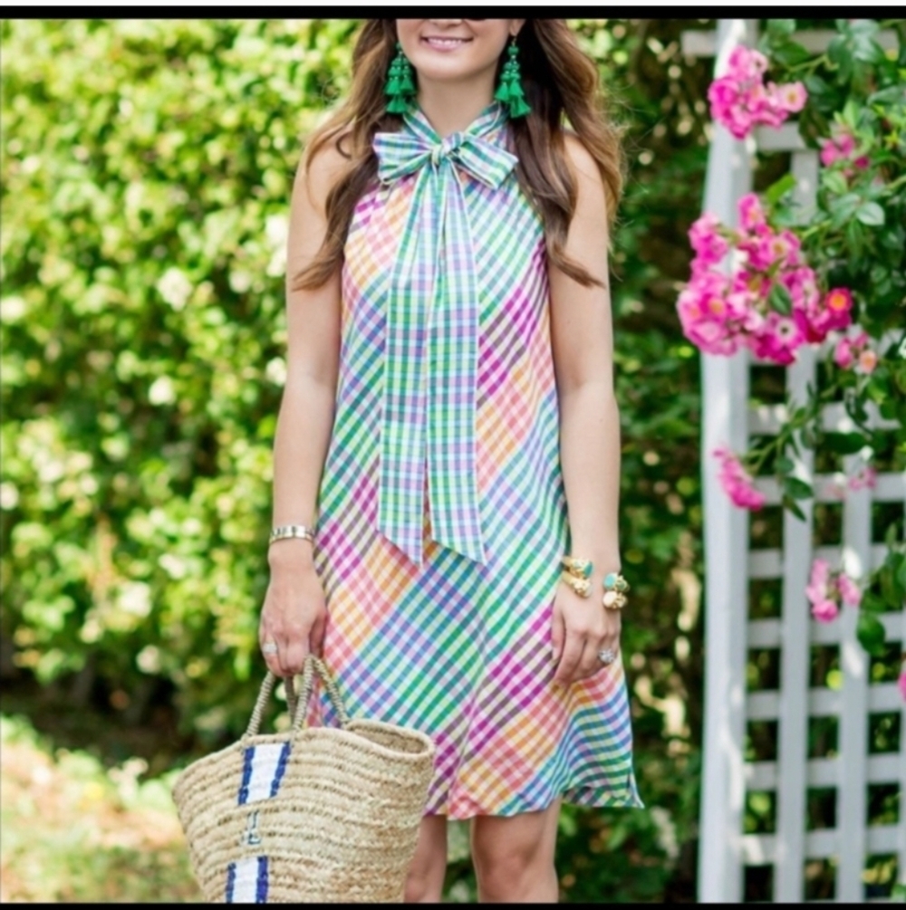 J Crew Woman's Gingham Tie Neck Cotton Sleeveless Shift Mini Dress Rainbow 2 - Picture 2 of 10